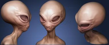 3D model Alien Bust Head (STL)